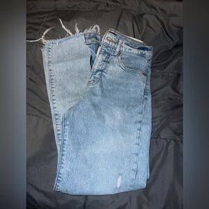 Express High Wasted Jeans